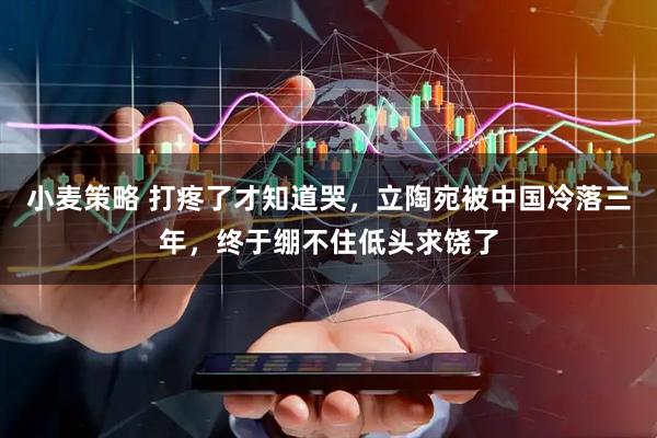 小麦策略 打疼了才知道哭，立陶宛被中国冷落三年，终于绷不住低头求饶了