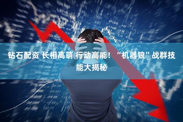 钻石配资 长相高萌 行动高能！“机器狼”战群技能大揭秘