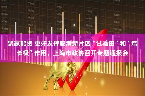 聚赢配资 更好发挥临港新片区“试验田”和“增长极”作用，上海市政协召开专题通报会